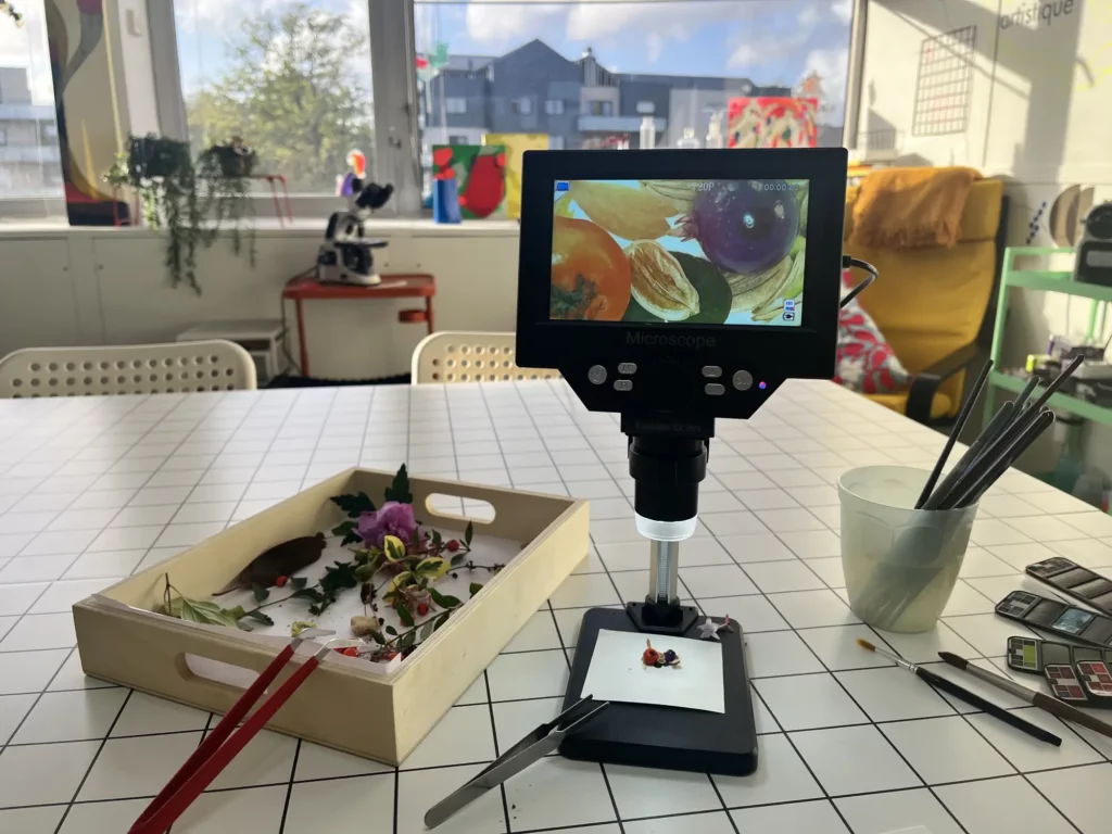 Microscope affichant une scène de nature morte composée d’éléments végétaux à l’Artorium
