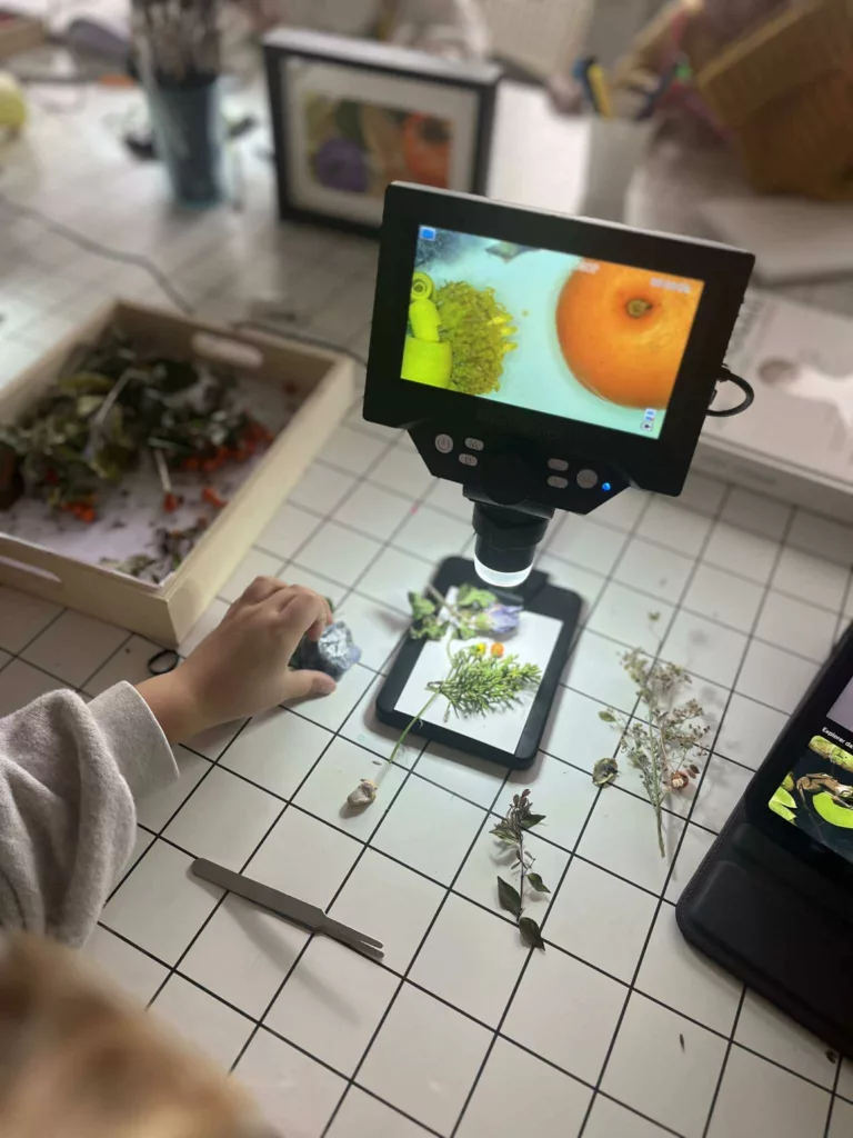 Enfant observant des éléments végétaux avec un microscope lors d’un atelier artistique à l’Artorium