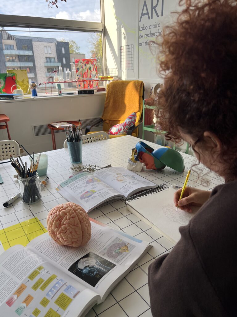 Dessin scientifique : vue de derrière l’épaule d’une adulte réalisant le croquis d’un cerveau avec livres et modèles