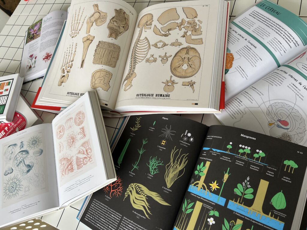Documentation scientifique et artistique : livres illustrés pour observer et dessiner