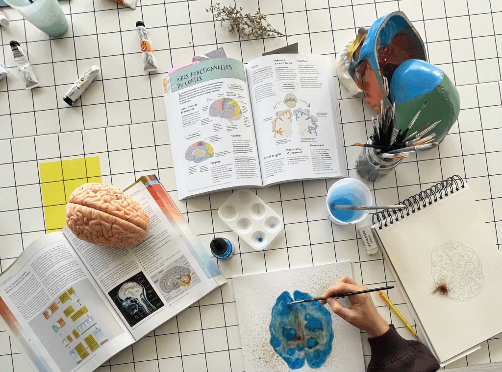 Vue du dessus d’une main peignant un cerveau stylisé à l’aquarelle, avec livres scientifiques et modèles de crâne et cerveau