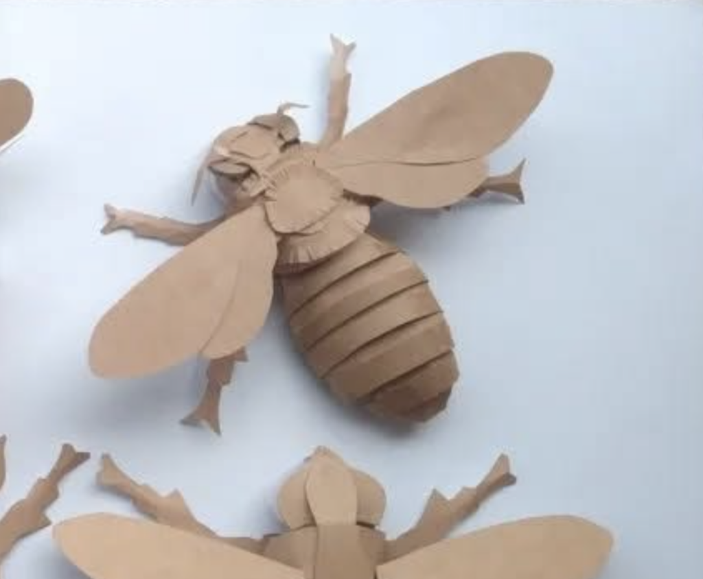 Insectes en carton : Sculptures en relief pour l'atelier de l'artorium