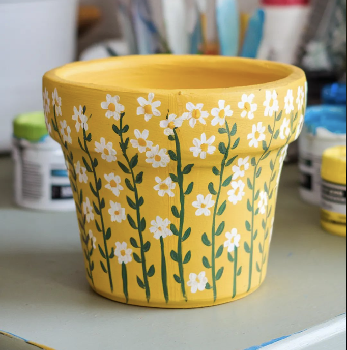 Observer différentes graines au microscope et peindre son cache pot